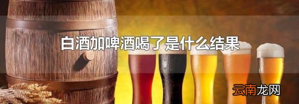 白酒加啤酒喝了是什么结果