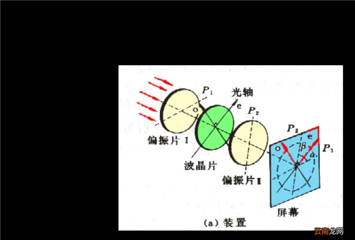 什么是偏振光？