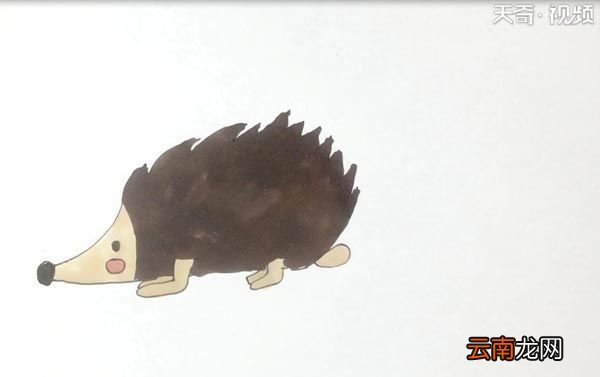 刺猬的简笔画