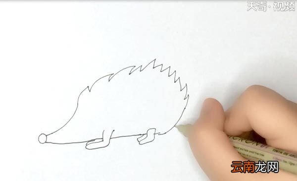 刺猬的简笔画