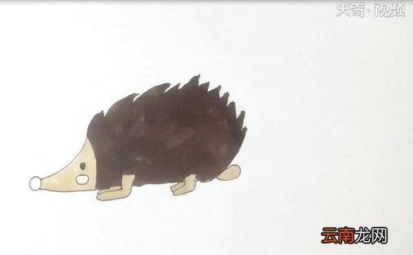 刺猬的简笔画