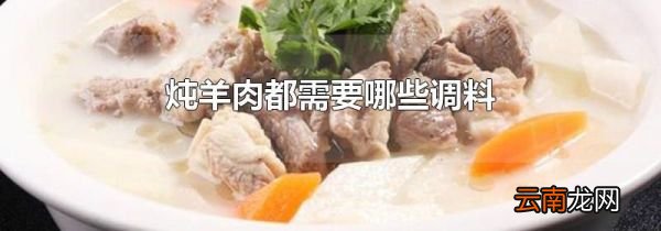 炖羊肉都需要哪些调料