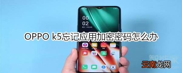 OPPO k5忘记应用加密密码怎么办