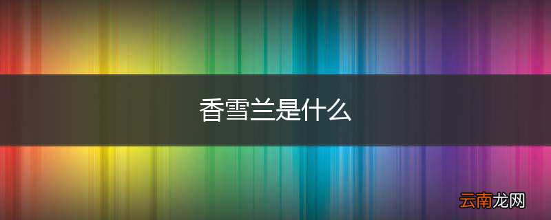 香雪兰是什么