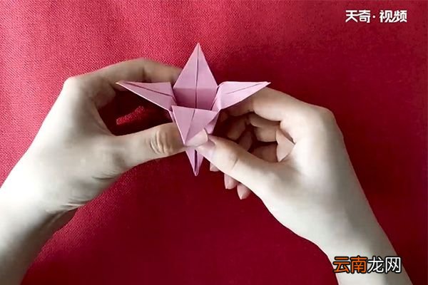 百合怎么折