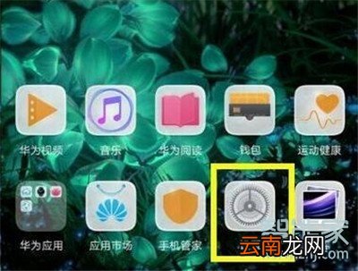 荣耀20s怎么打开volte