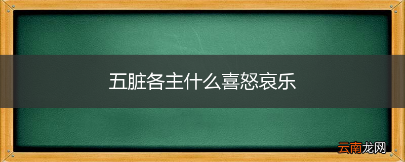 五脏各主什么喜怒哀乐