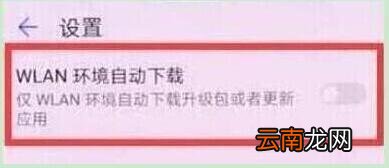 荣耀20s关闭系统自动更新