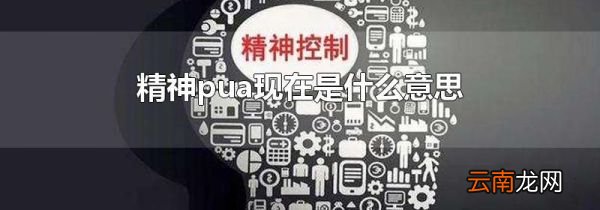 精神pua现在是什么意思