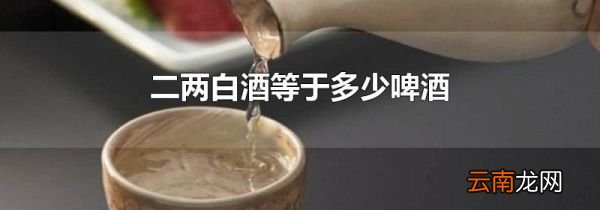 二两白酒等于多少啤酒