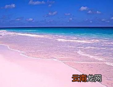 世界上有粉色的沙滩吗？