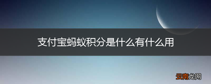 支付宝蚂蚁积分是什么有什么用