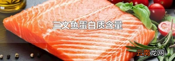 三文鱼蛋白质含量