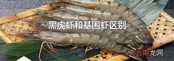 黑虎虾和基围虾区别