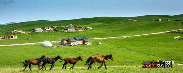 按图索骥告诉我们什么道理 按图索骥翻译及启示