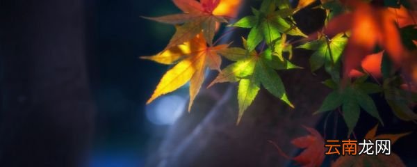 山行描写了哪两种景物 山行写了几种景物