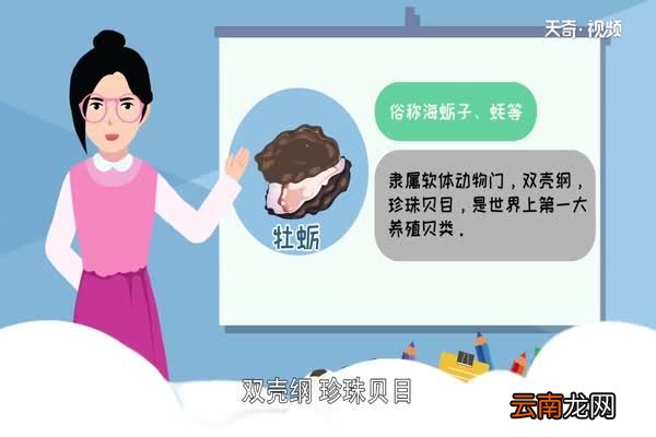 牡蛎是什么牡蛎叫什么