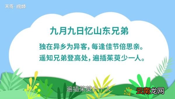九月九日忆山东兄弟原文 九月九日忆山东兄弟原文朗读