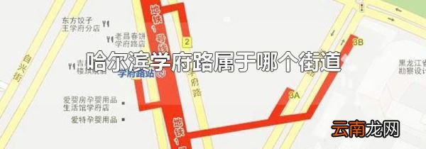 哈尔滨学府路属于哪个街道