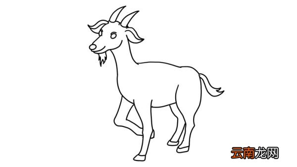 山羊胡简笔画