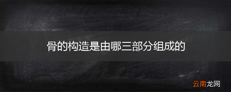 骨的构造是由哪三部分组成的