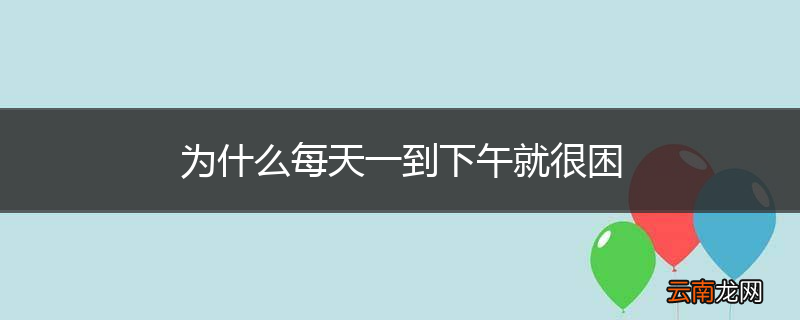 为什么每天一到下午就很困