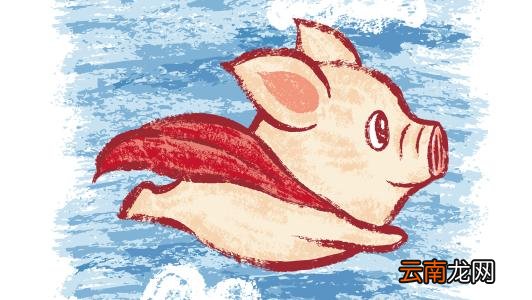 飞猪中增加抢票成功率具体操作步骤介绍