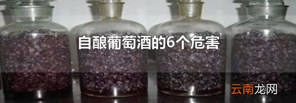 自酿葡萄酒的6个危害