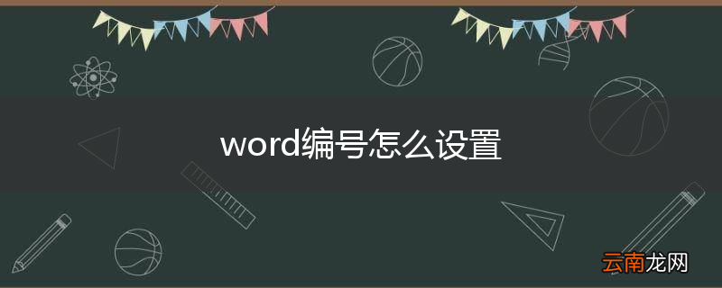 word编号怎么设置