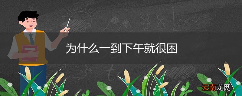 为什么一到下午就很困