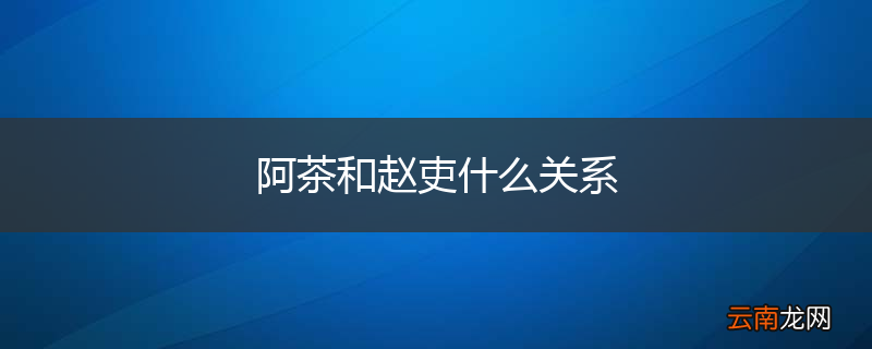 阿茶和赵吏什么关系