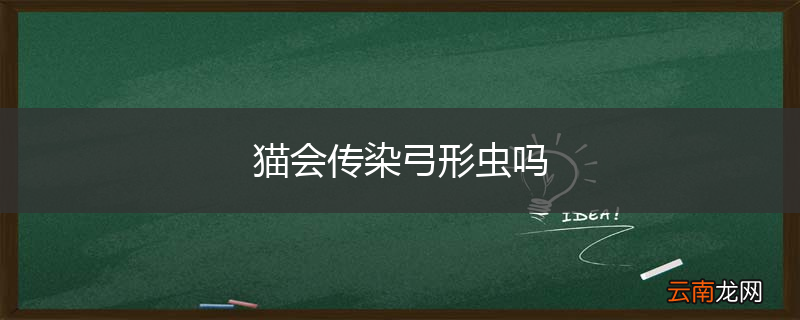 猫会传染弓形虫吗