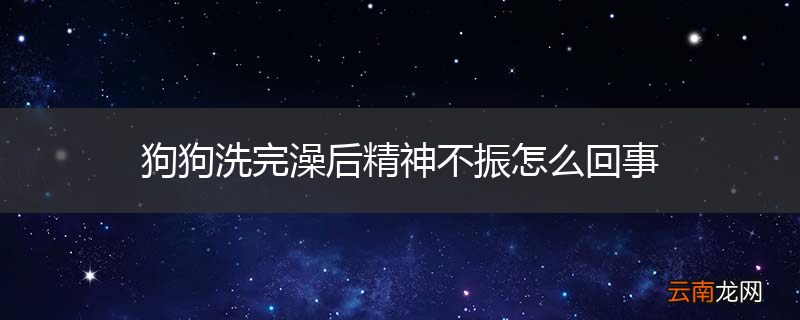 狗狗洗完澡后精神不振怎么回事
