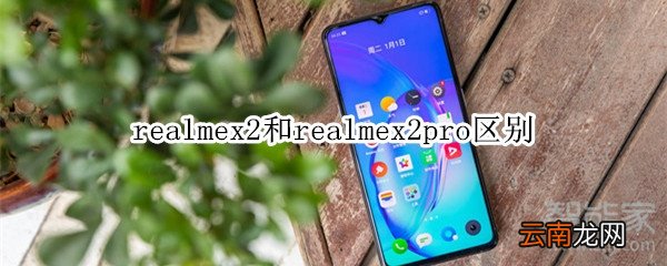 realmex2和realmex2pro区别