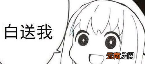 白嫖是什么意思？
