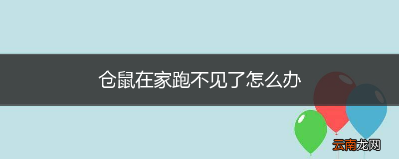 仓鼠在家跑不见了怎么办