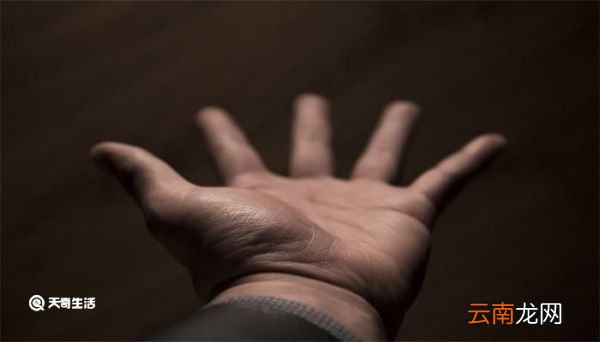 手的第二个指头为什么叫食指 手的第二个指头为什么叫做食指