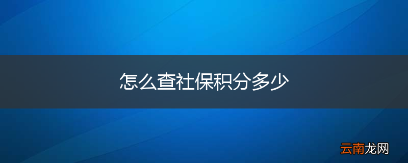 怎么查社保积分多少