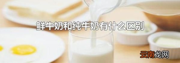鲜牛奶和纯牛奶有什么区别