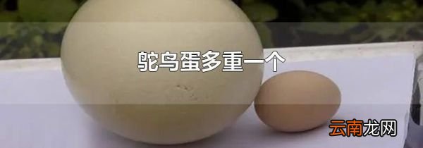 鸵鸟蛋多重一个