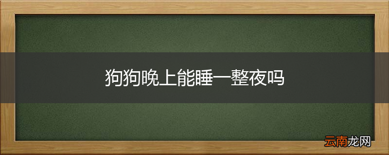狗狗晚上能睡一整夜吗