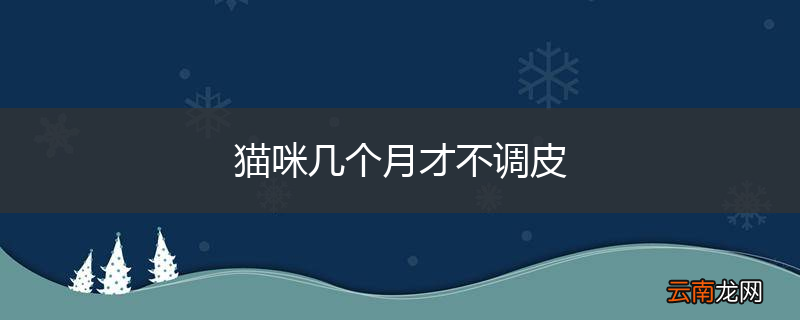 猫咪几个月才不调皮