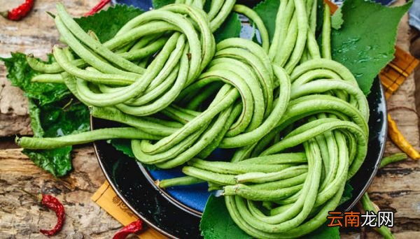 豇豆是什么豆 豇豆是指什么豆