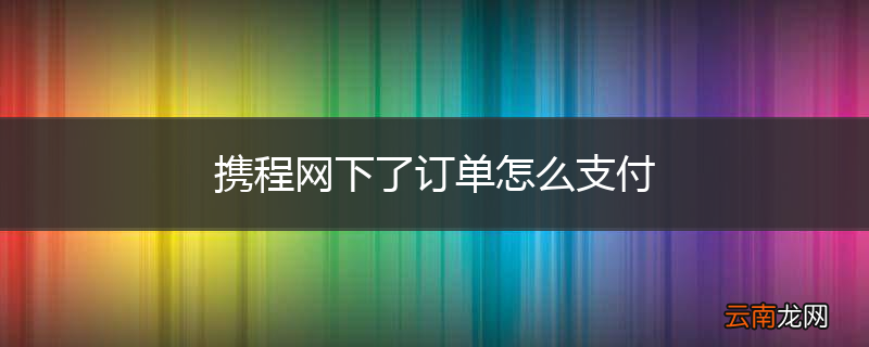 携程网下了订单怎么支付