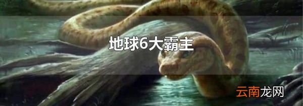 地球6大霸主