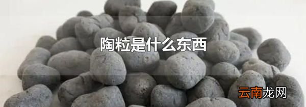 陶粒是什么东西