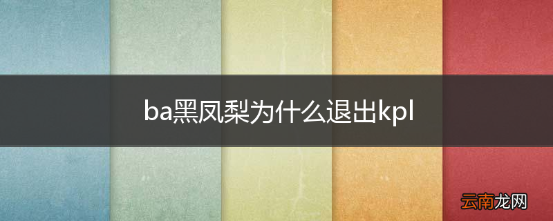 ba黑凤梨为什么退出kpl