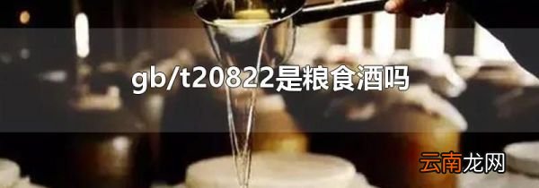gb/t20822是粮食酒吗