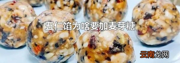 五仁馅为啥要加麦芽糖