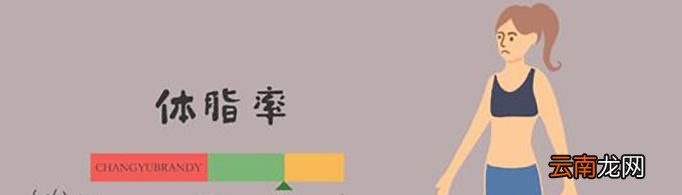体脂怎么算？